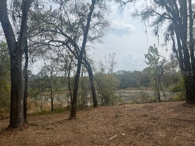 16222 LIVINGSTON AVE, LUTZ, FL, 33559