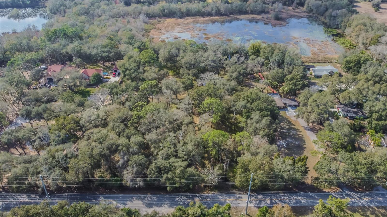 16222 LIVINGSTON AVE, LUTZ, FL, 33559