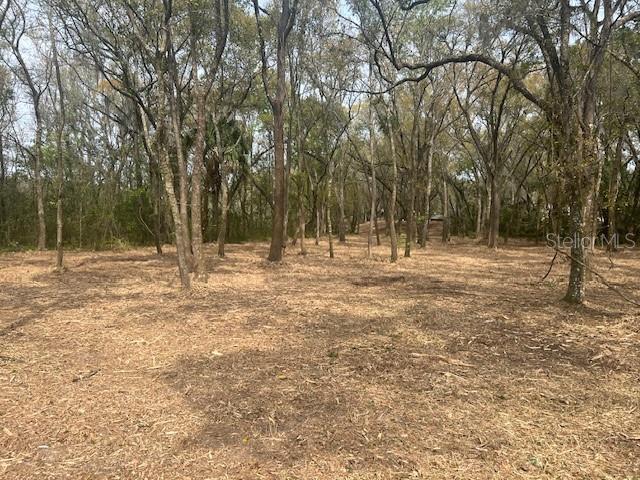 16222 LIVINGSTON AVE, LUTZ, FL, 33559