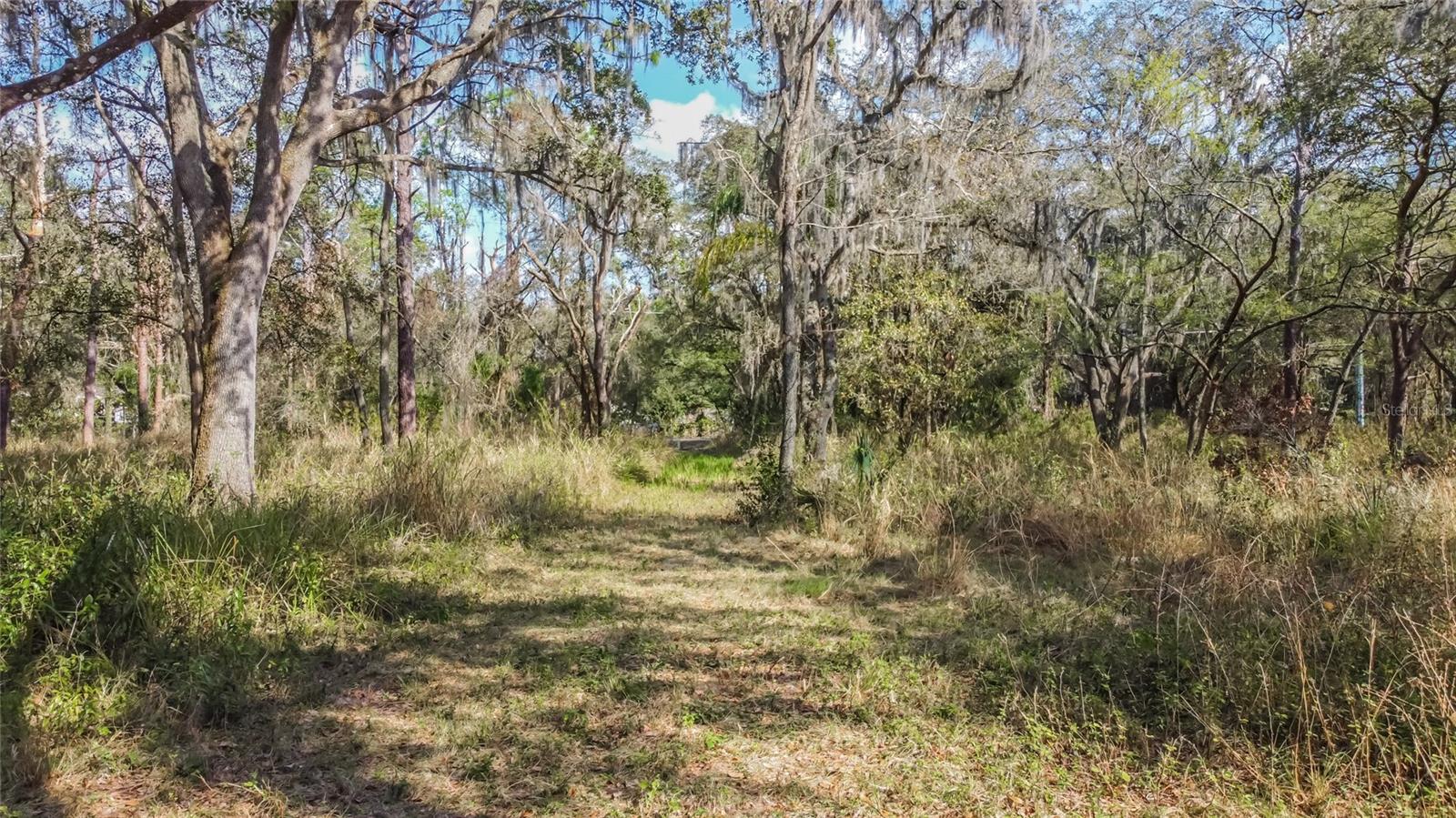 16222 LIVINGSTON AVE, LUTZ, FL, 33559