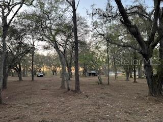 16222 LIVINGSTON AVE, LUTZ, FL, 33559