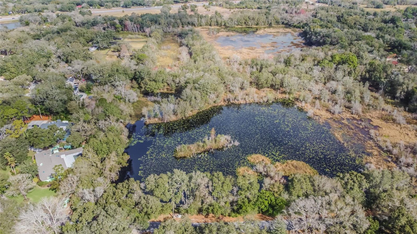 16222 LIVINGSTON AVE, LUTZ, FL, 33559