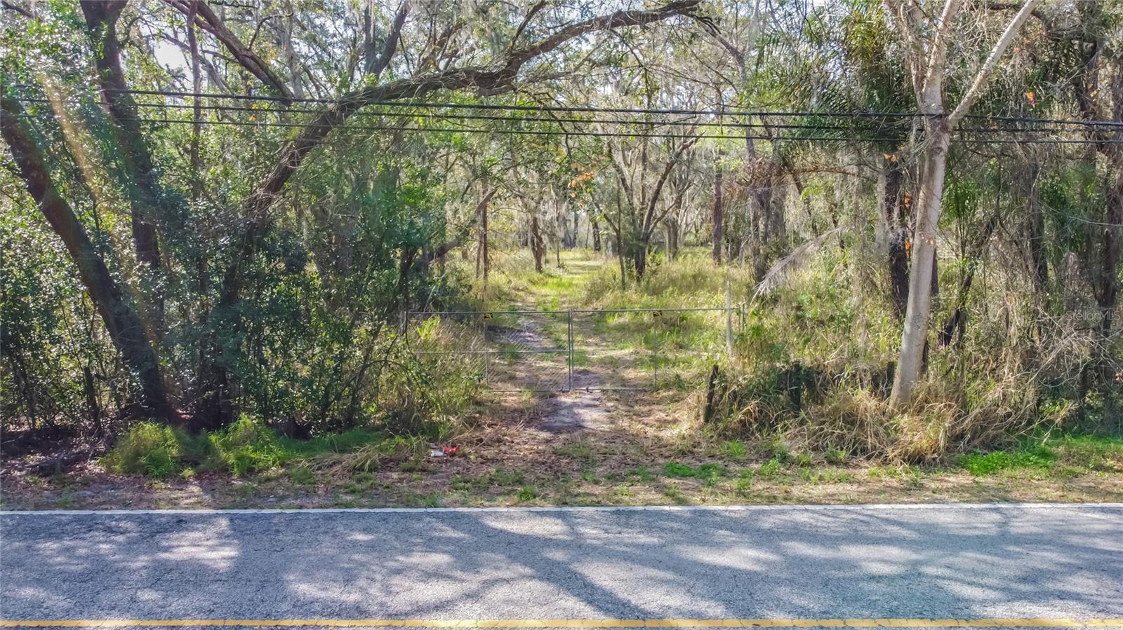 16222 LIVINGSTON AVE, LUTZ, FL, 33559