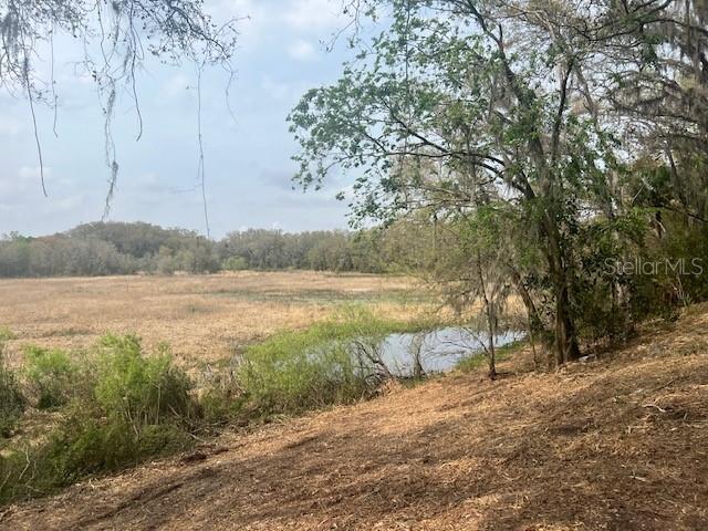 16222 LIVINGSTON AVE, LUTZ, FL, 33559