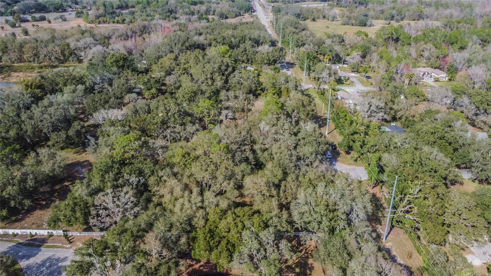 16222 LIVINGSTON AVE, LUTZ, FL, 33559