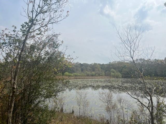 16222 LIVINGSTON AVE, LUTZ, FL, 33559