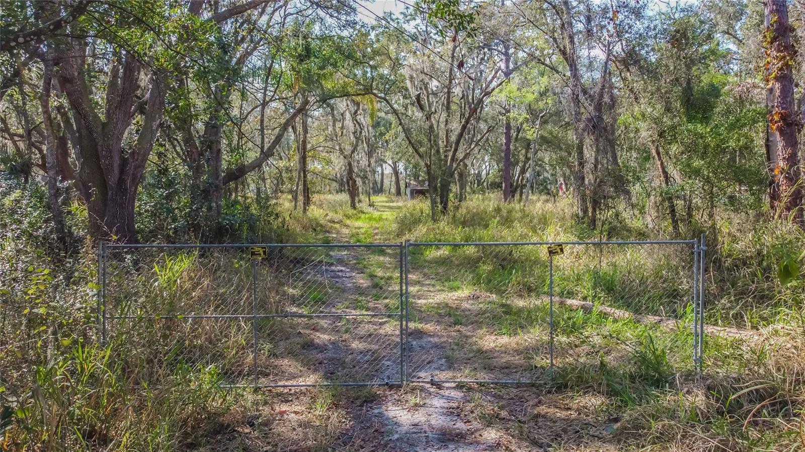 16222 LIVINGSTON AVE, LUTZ, FL, 33559