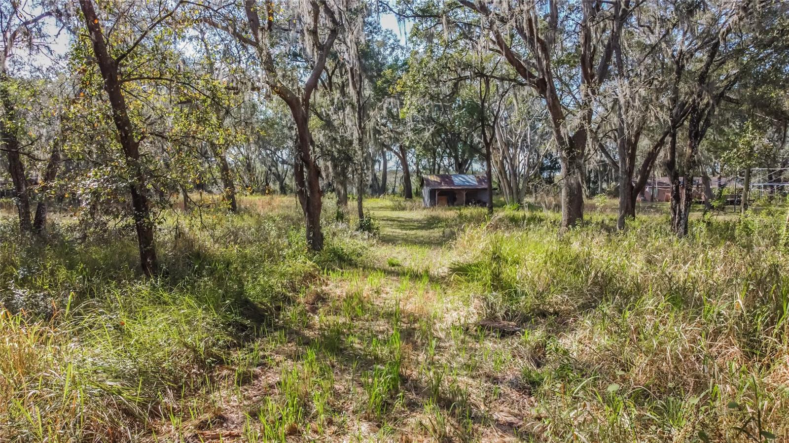 16222 LIVINGSTON AVE, LUTZ, FL, 33559