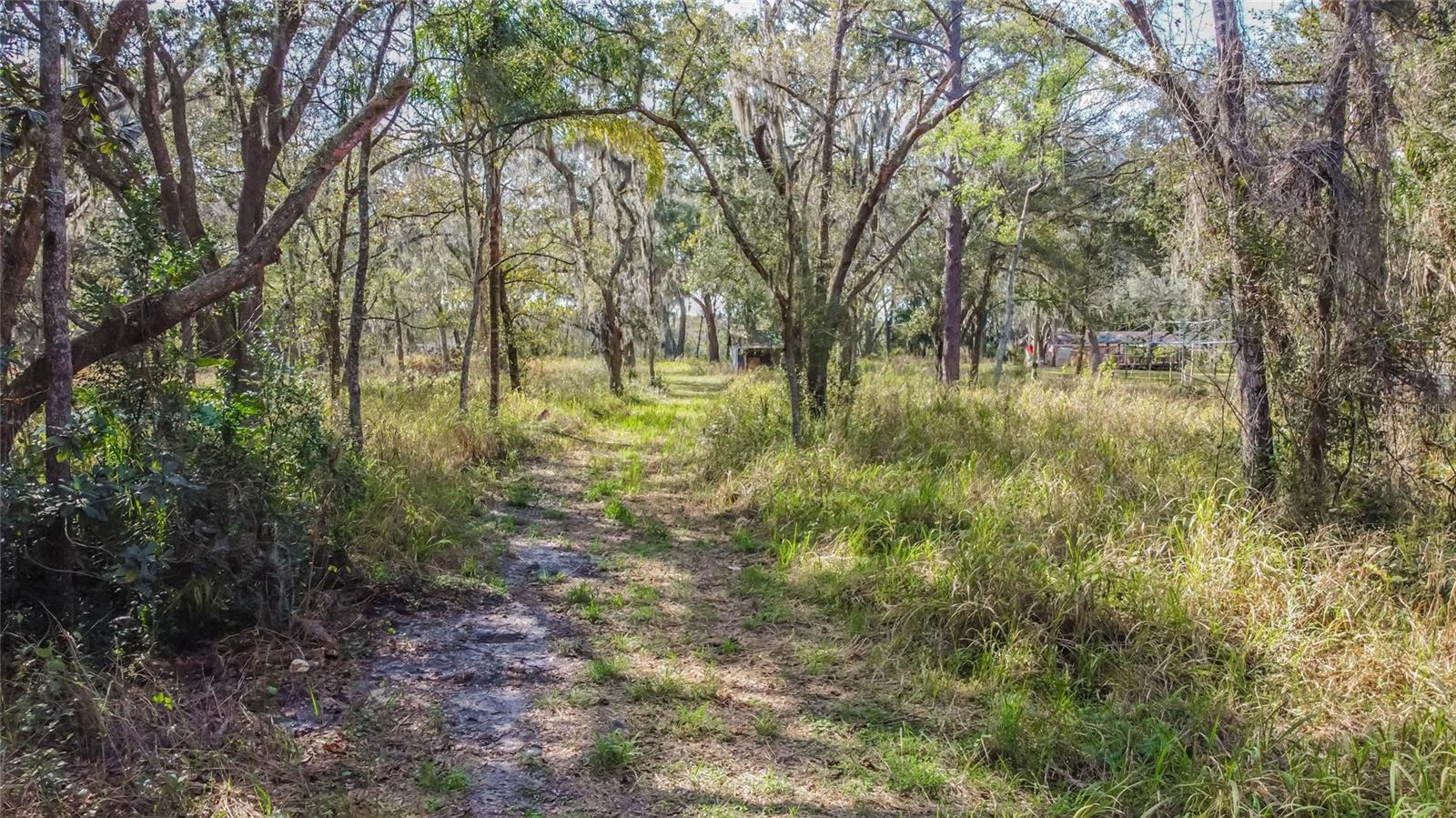 16222 LIVINGSTON AVE, LUTZ, FL, 33559