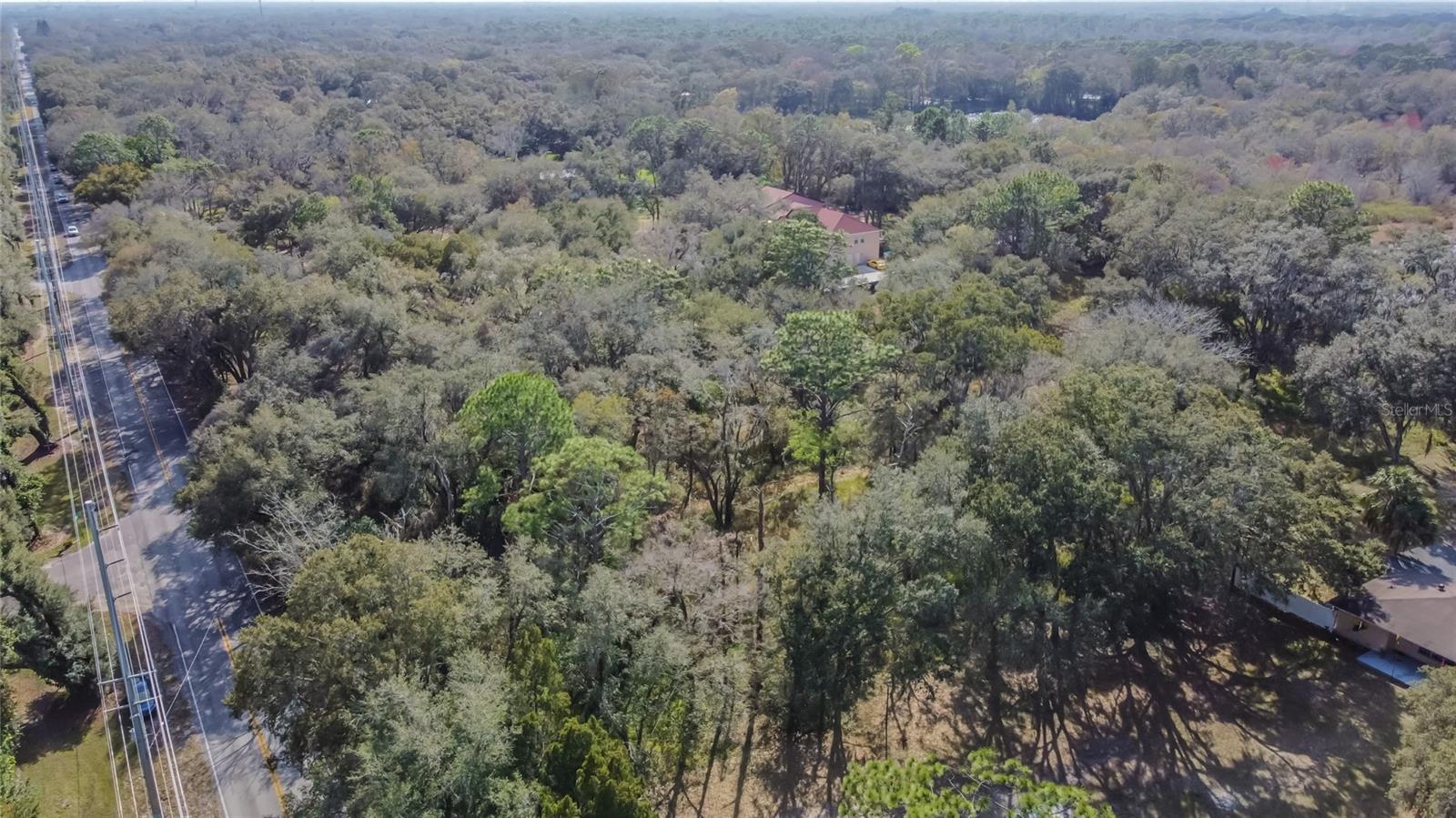 16222 LIVINGSTON AVE, LUTZ, FL, 33559