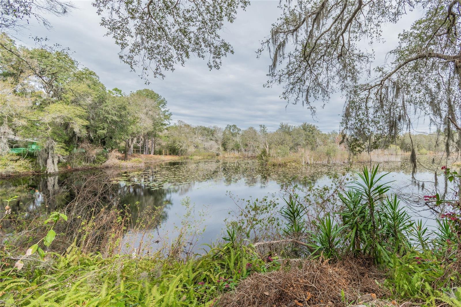 16222 LIVINGSTON AVE, LUTZ, FL, 33559