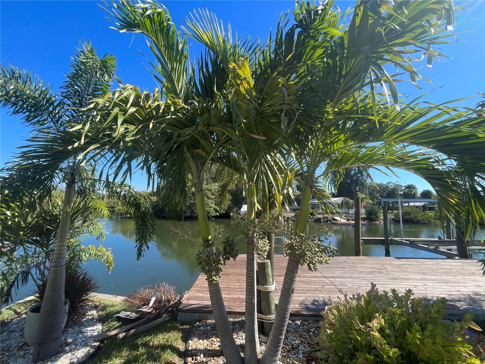 14208 SHILOH CT, HUDSON, FL, 34667