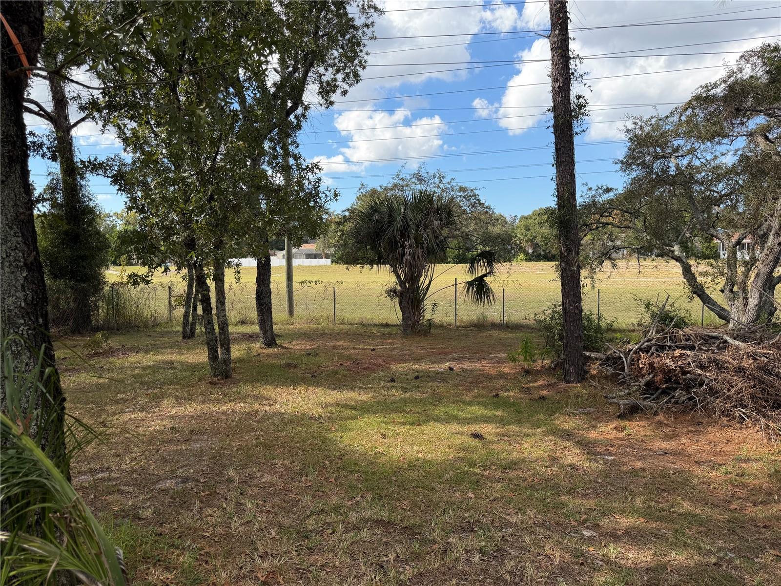 1509 FINLAND DR, SPRING HILL, FL, 34609