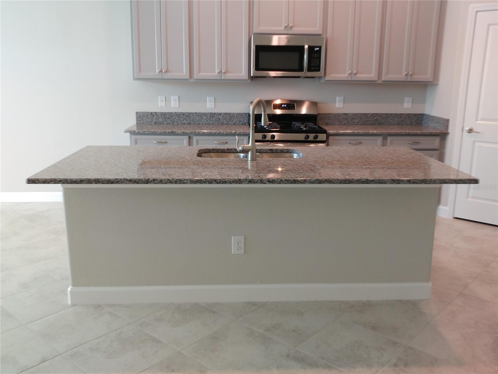 4522 TUBULAR RUN, LAND O LAKES, FL, 34638