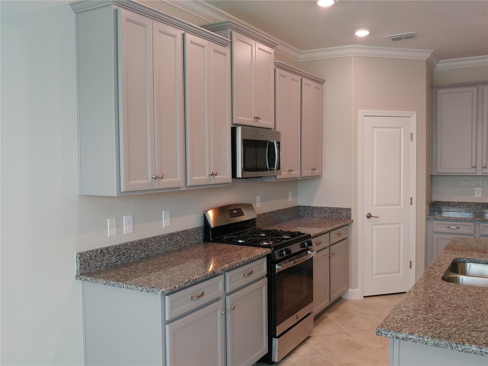 4522 TUBULAR RUN, LAND O LAKES, FL, 34638