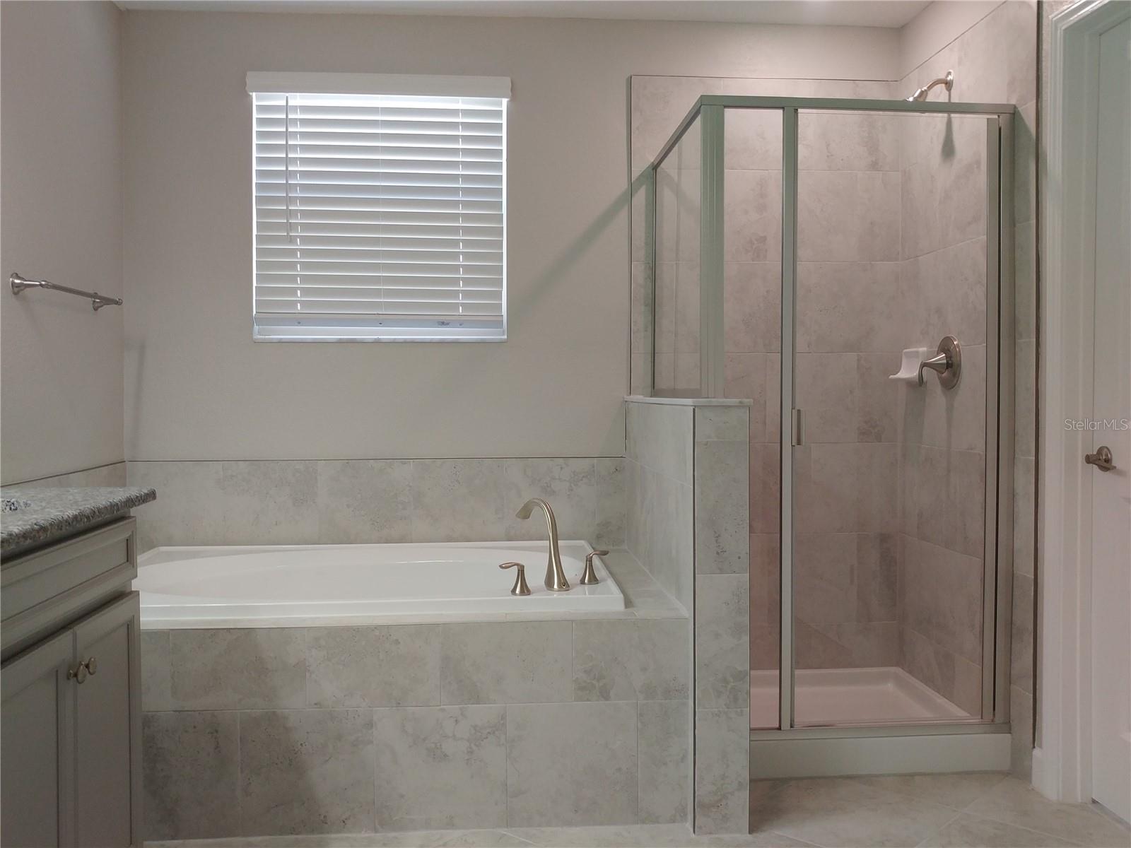 4522 TUBULAR RUN, LAND O LAKES, FL, 34638