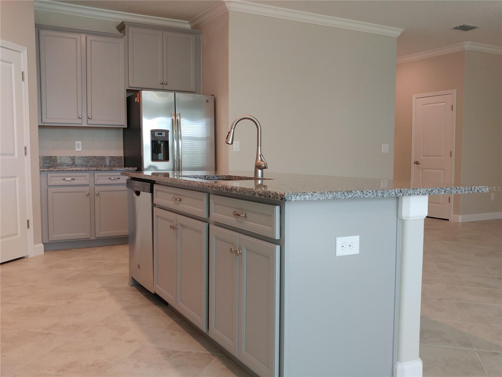 4522 TUBULAR RUN, LAND O LAKES, FL, 34638