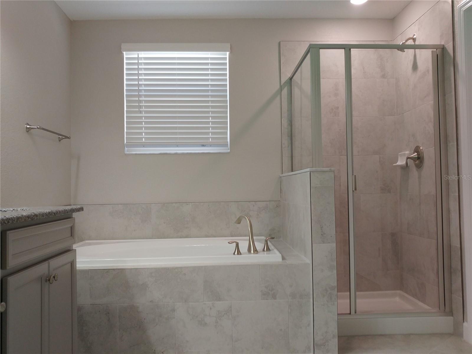 4522 TUBULAR RUN, LAND O LAKES, FL, 34638