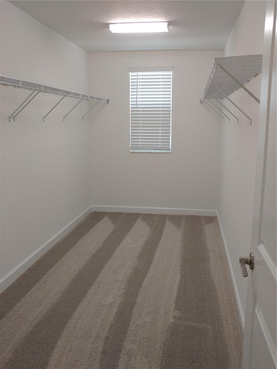 4522 TUBULAR RUN, LAND O LAKES, FL, 34638