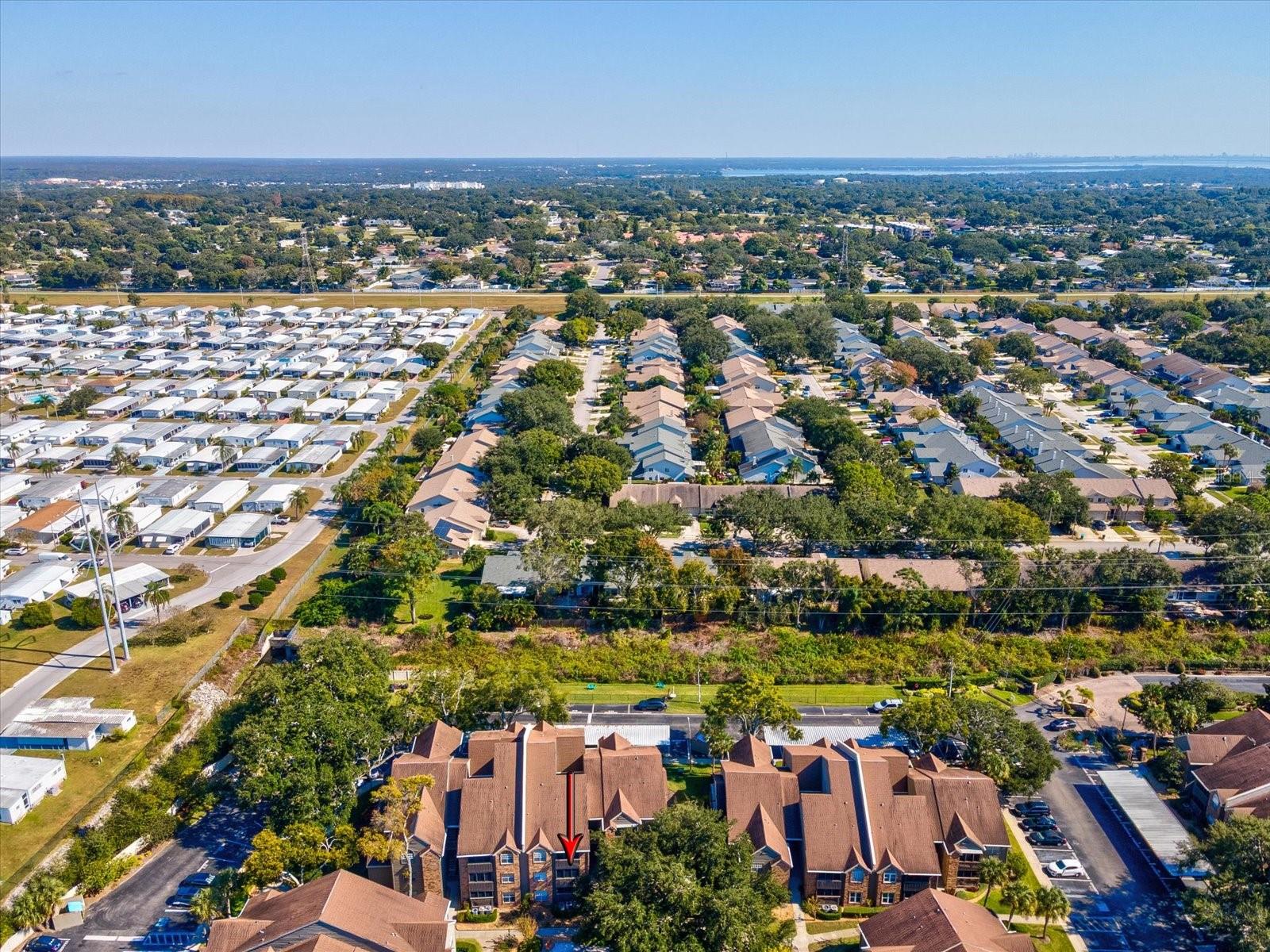 2500 WINDING CREEK BLVD #G204, CLEARWATER, FL, 33761