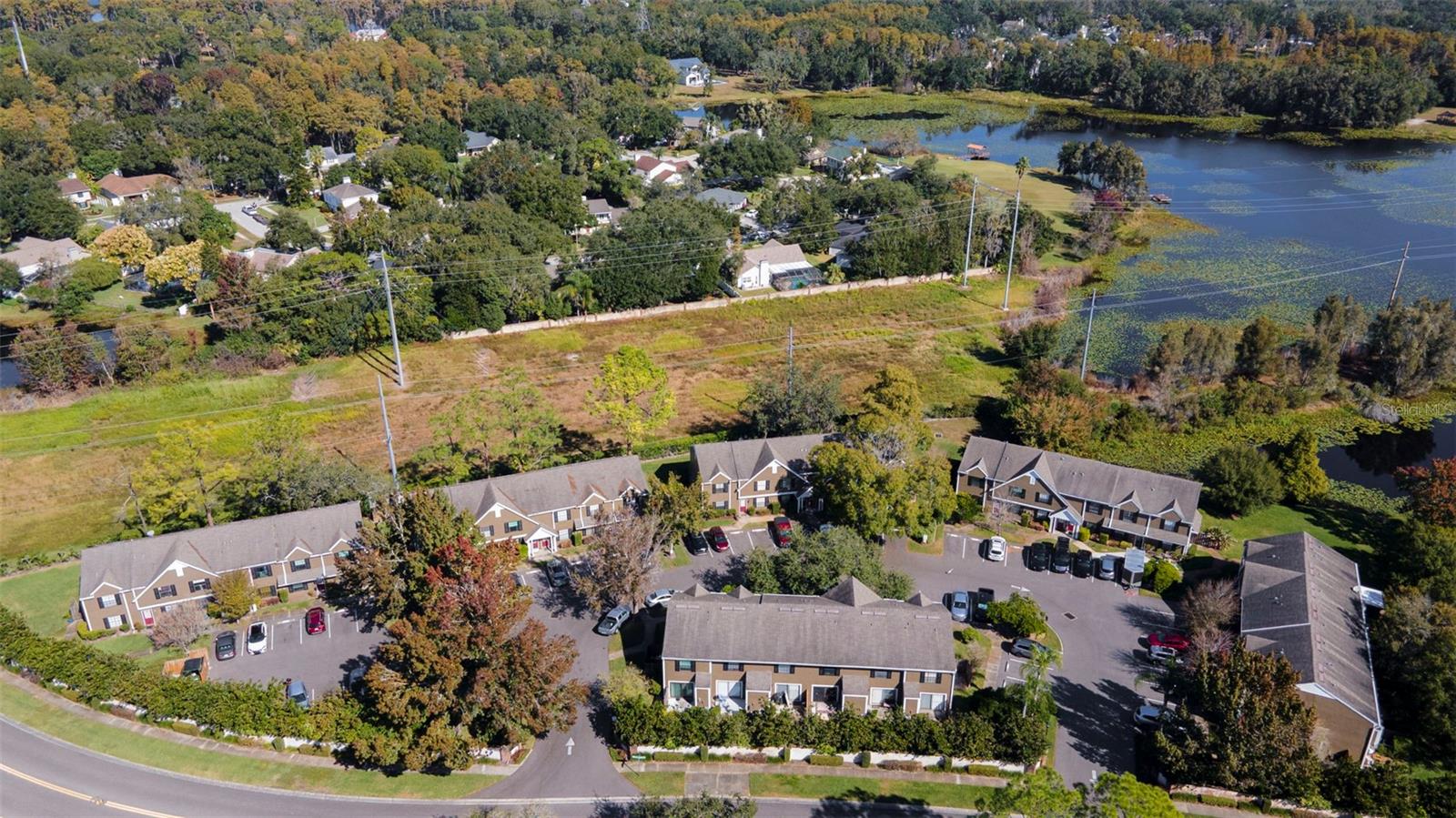 16545 LAKE BRIGADOON CIR, TAMPA, FL, 33618