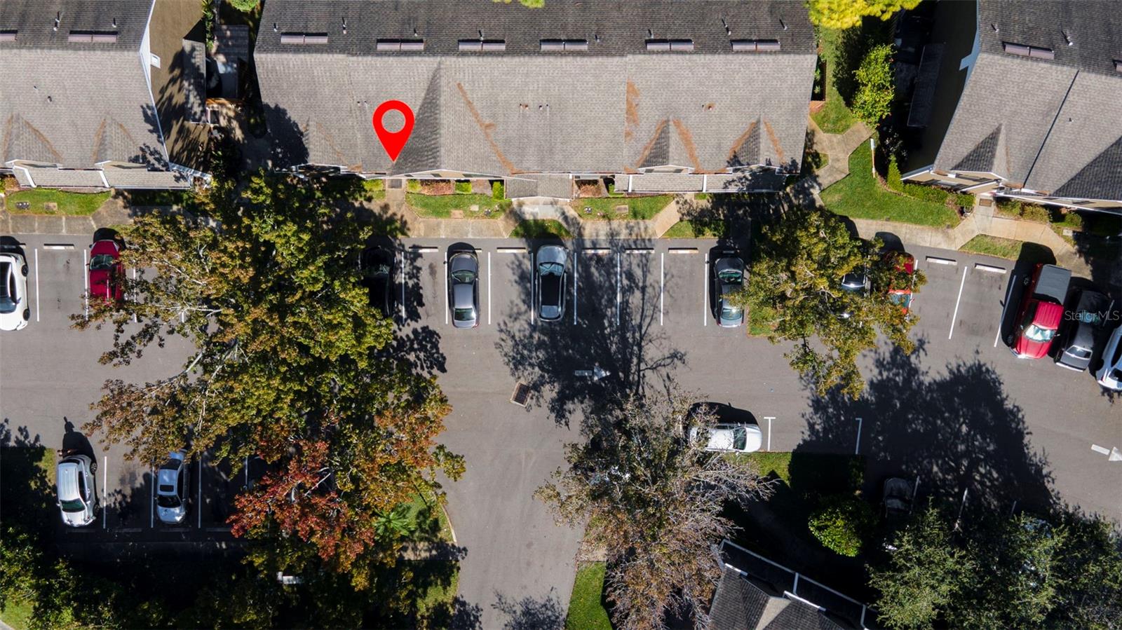 16545 LAKE BRIGADOON CIR, TAMPA, FL, 33618