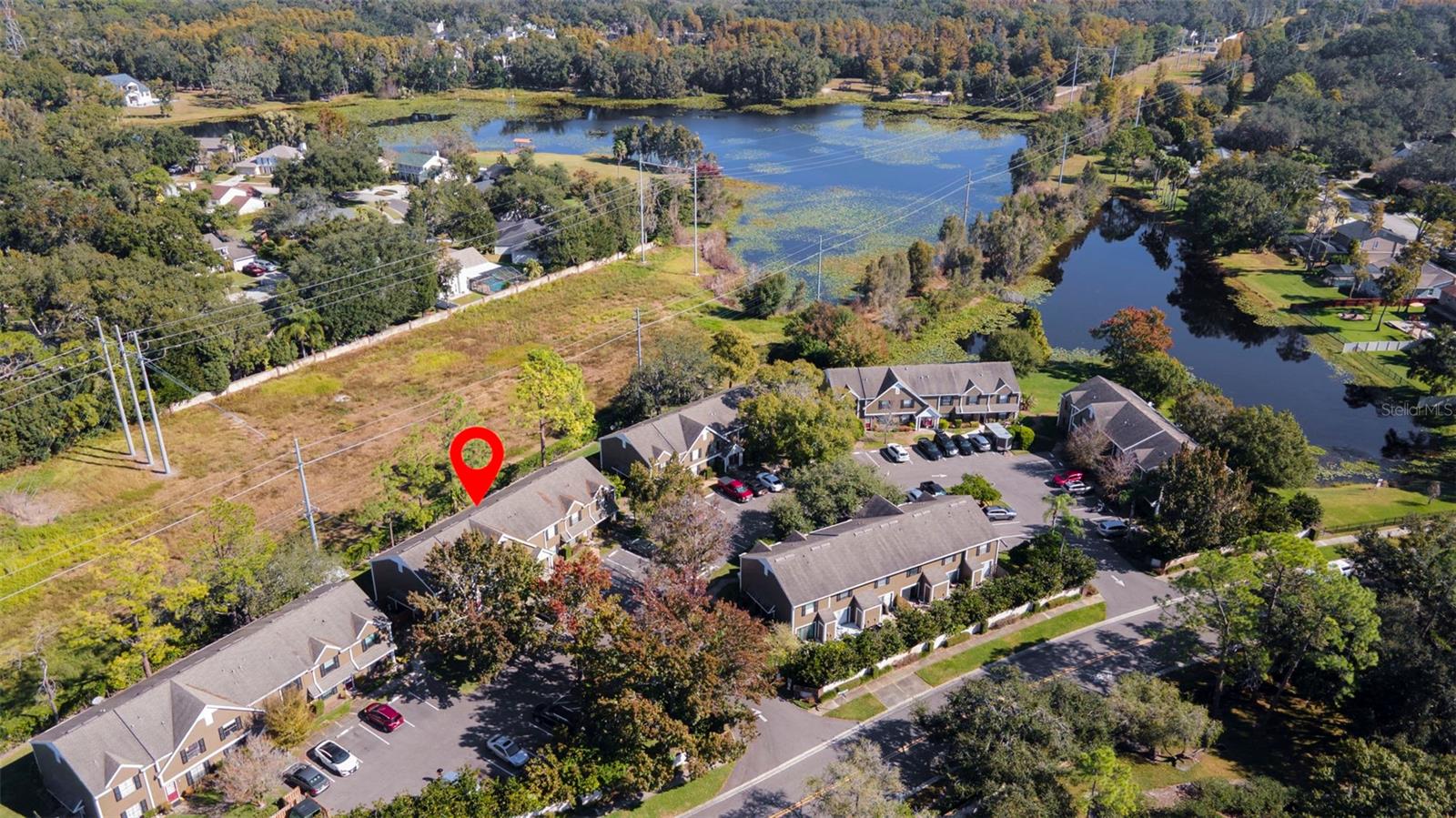 16545 LAKE BRIGADOON CIR, TAMPA, FL, 33618