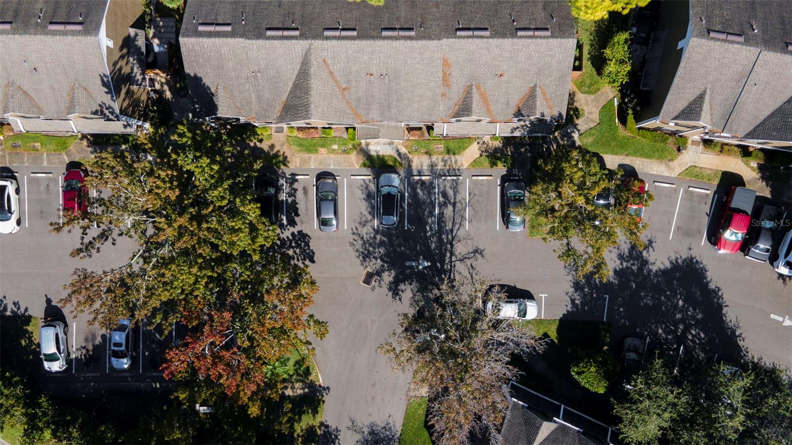 16545 LAKE BRIGADOON CIR, TAMPA, FL, 33618