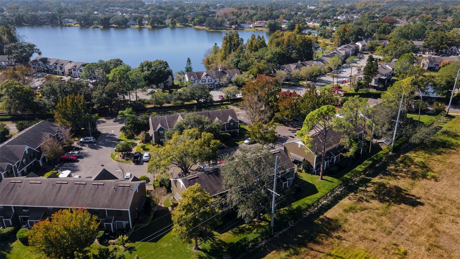 16545 LAKE BRIGADOON CIR, TAMPA, FL, 33618