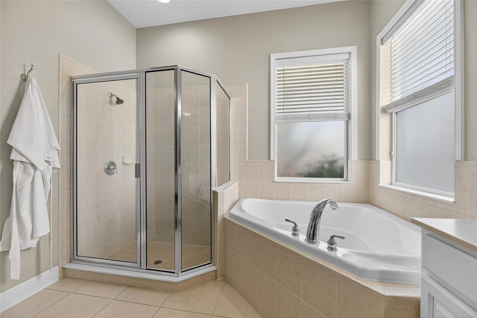 413 MANNS HARBOR DR, APOLLO BEACH, FL, 33572