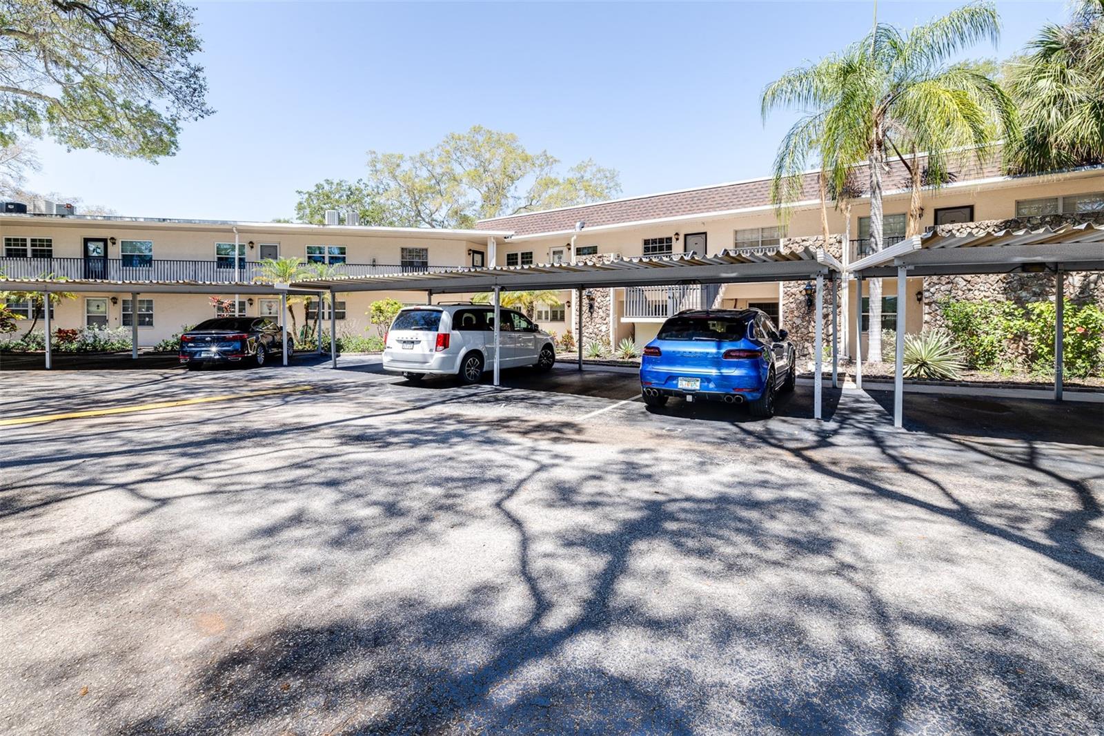 820 PATRICIA AVE #206, DUNEDIN, FL, 34698