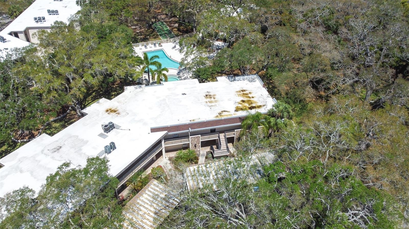 820 PATRICIA AVE #206, DUNEDIN, FL, 34698