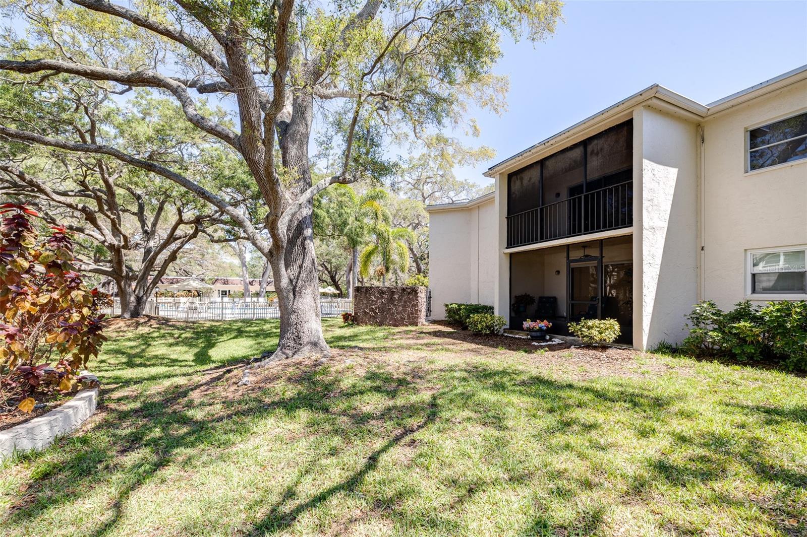 820 PATRICIA AVE #206, DUNEDIN, FL, 34698