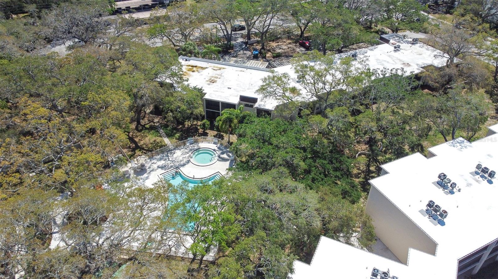 820 PATRICIA AVE #206, DUNEDIN, FL, 34698