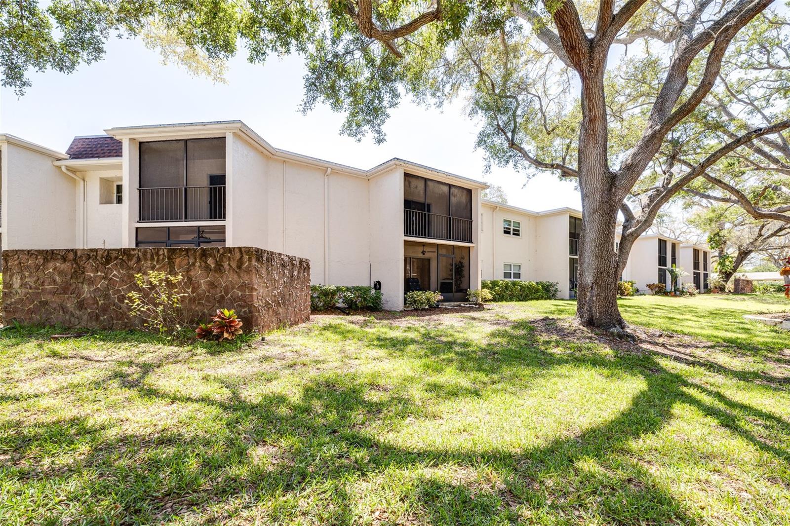 820 PATRICIA AVE #206, DUNEDIN, FL, 34698