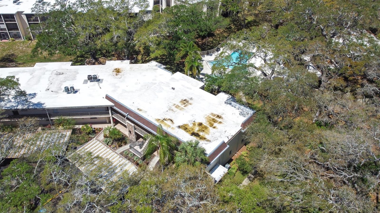 820 PATRICIA AVE #206, DUNEDIN, FL, 34698