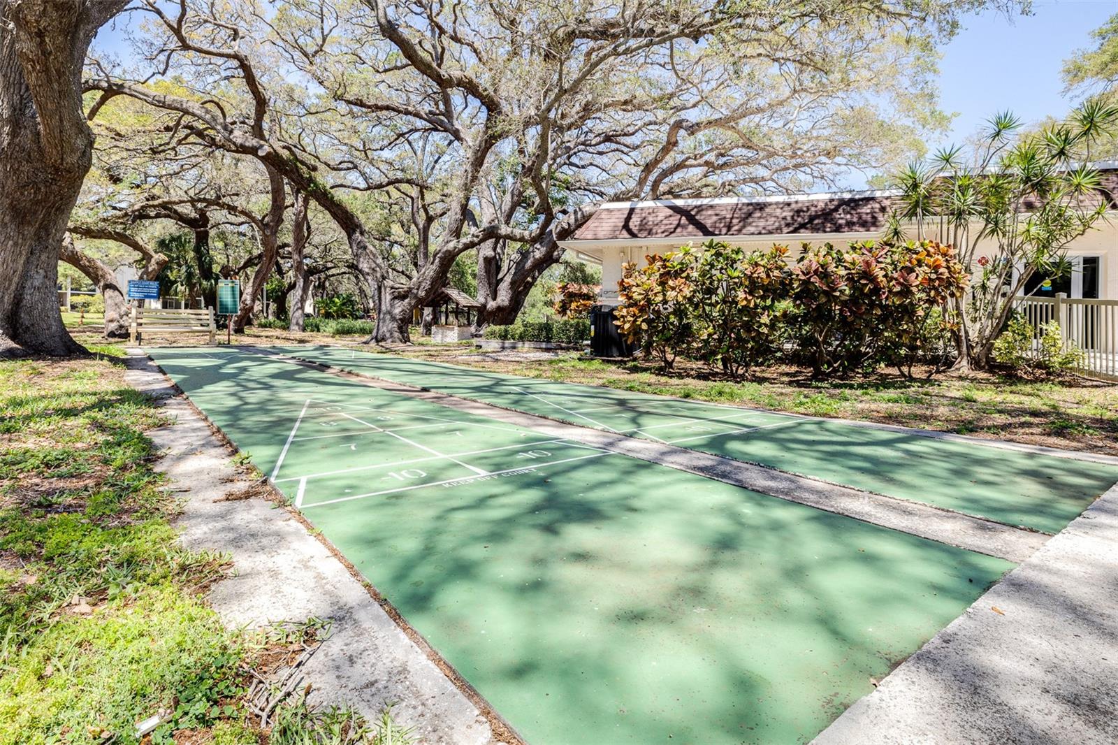 820 PATRICIA AVE #206, DUNEDIN, FL, 34698