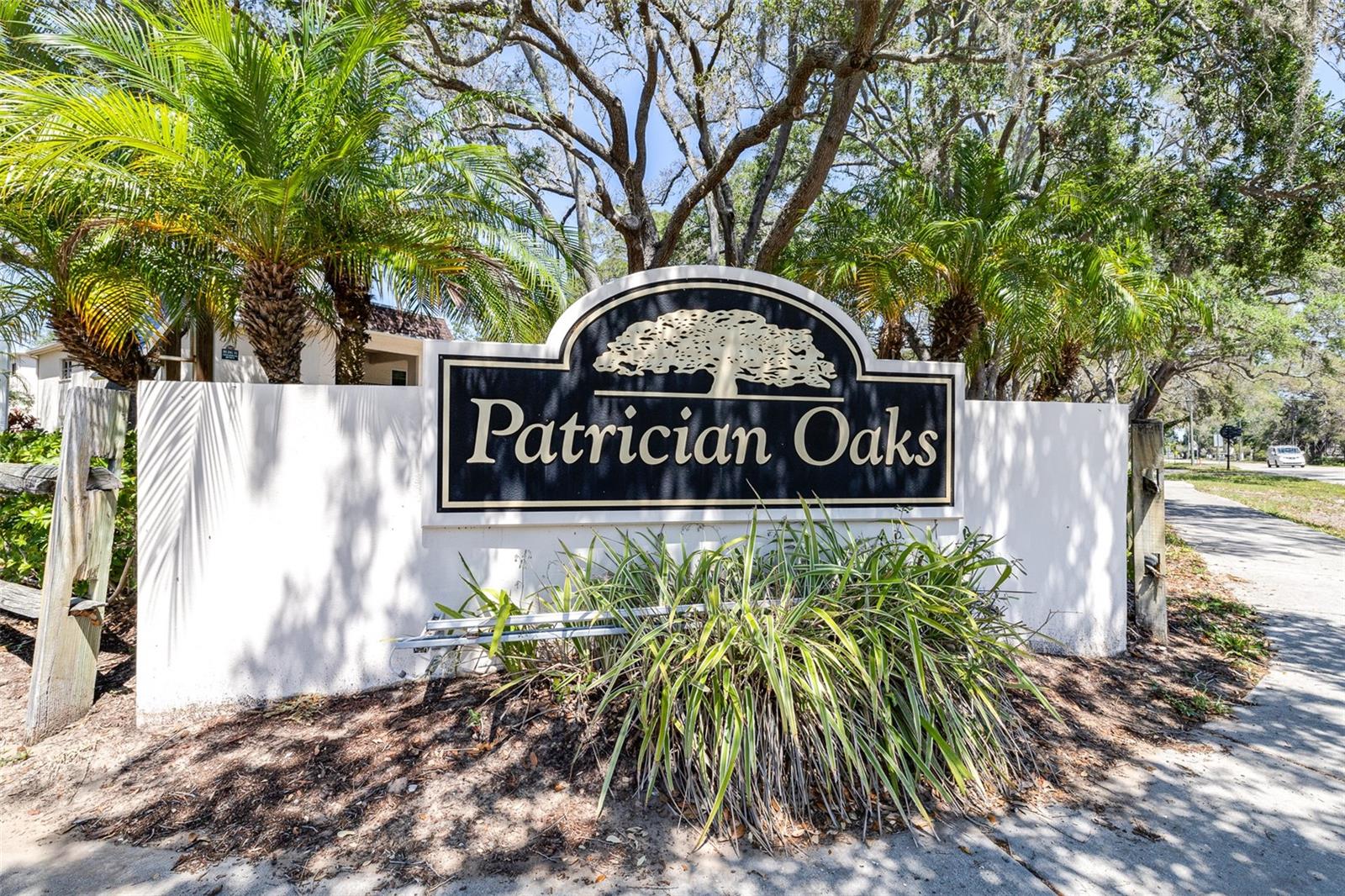 820 PATRICIA AVE #206, DUNEDIN, FL, 34698