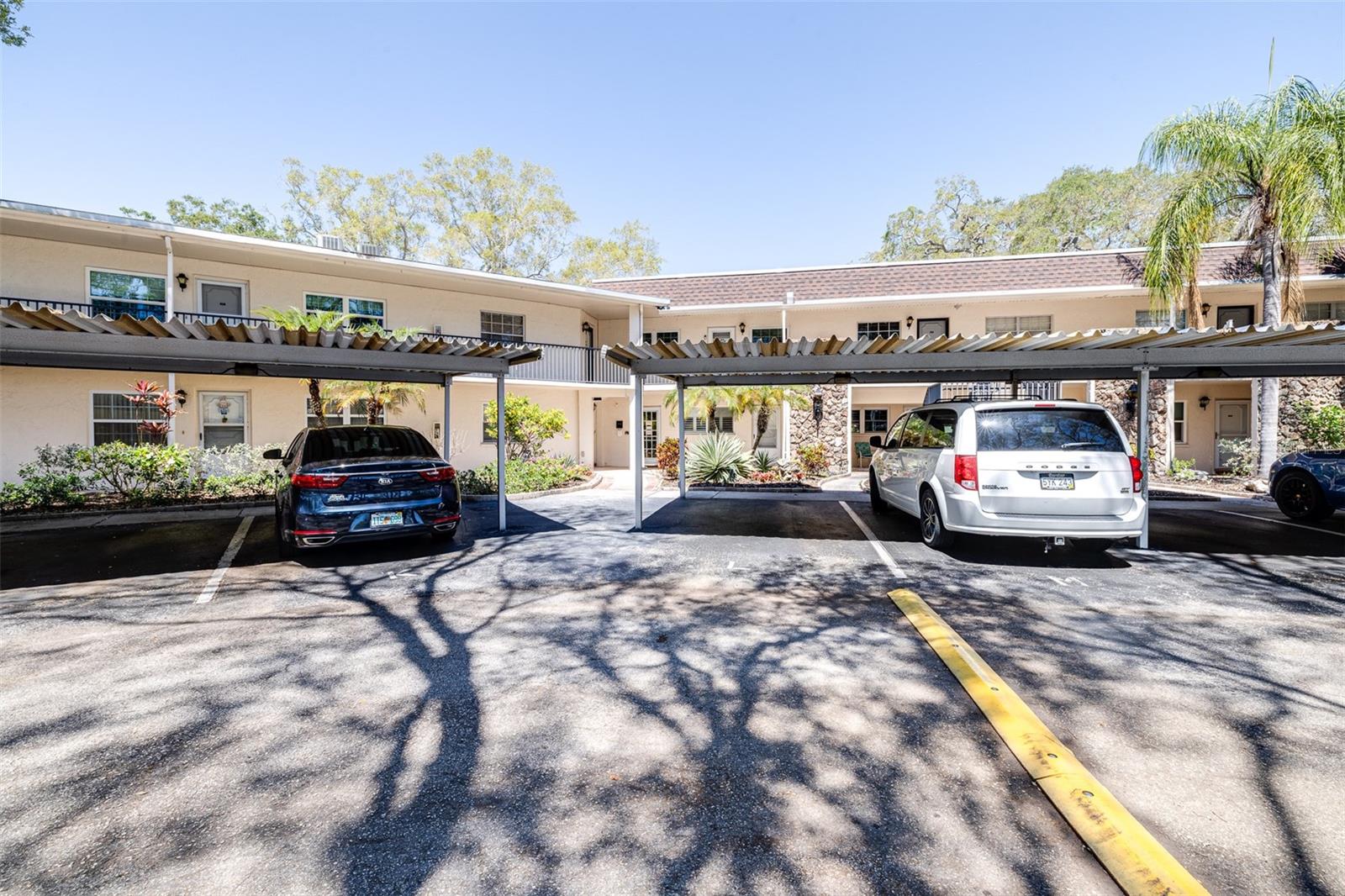 820 PATRICIA AVE #206, DUNEDIN, FL, 34698