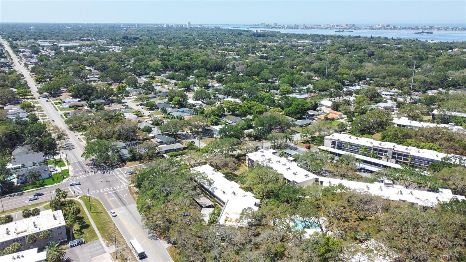 820 PATRICIA AVE #206, DUNEDIN, FL, 34698