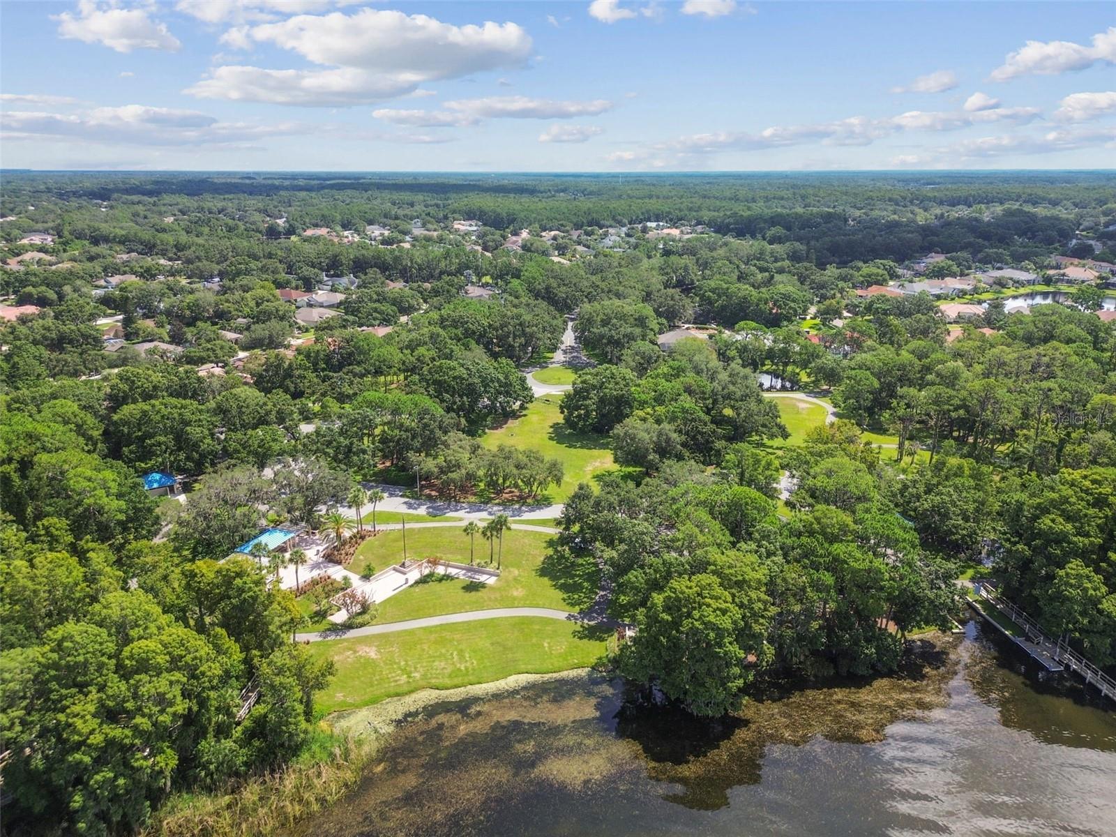 3988 MIMOSA PL, PALM HARBOR, FL, 34685