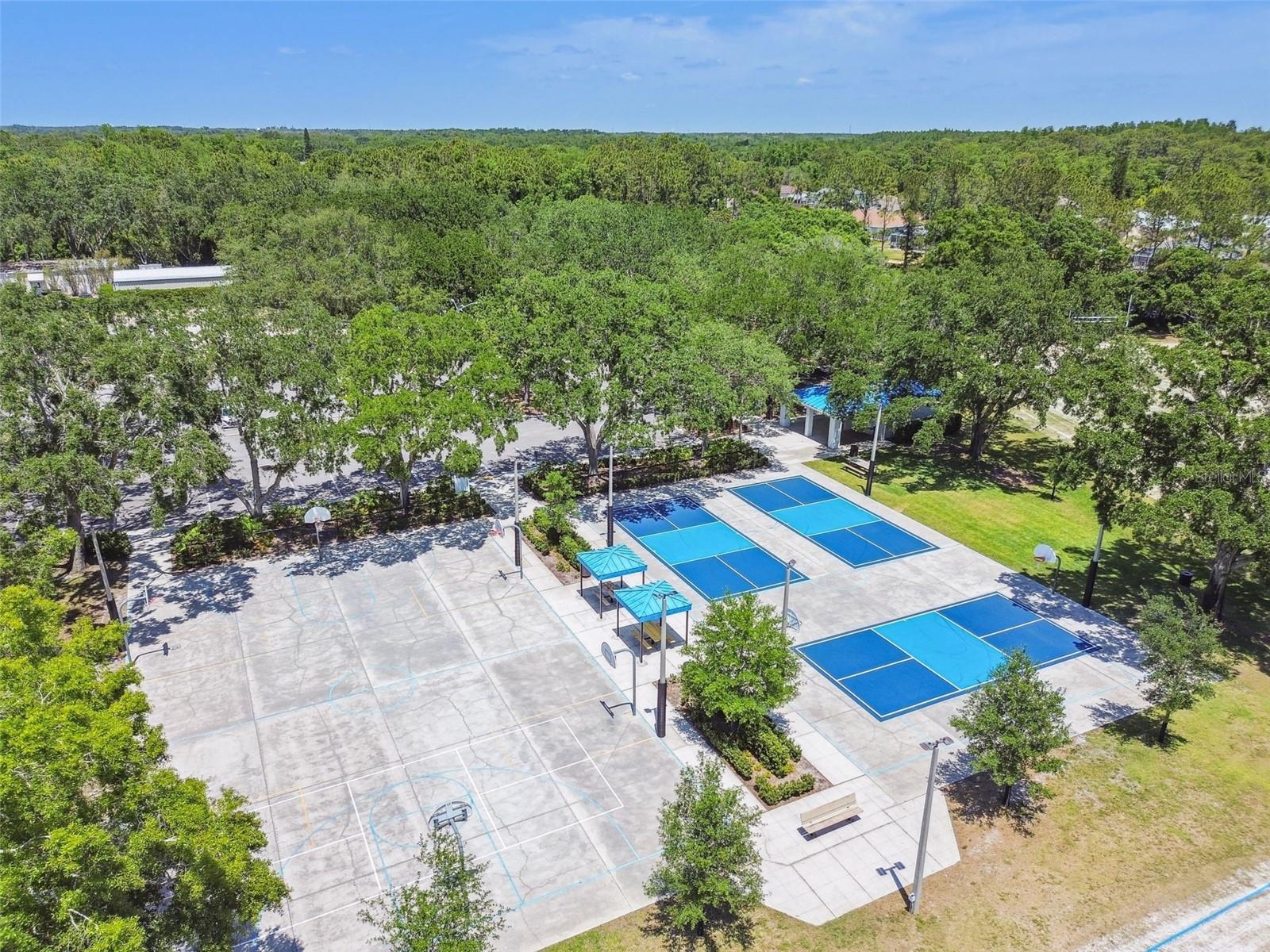 3988 MIMOSA PL, PALM HARBOR, FL, 34685