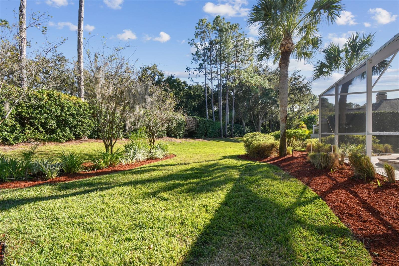 3988 MIMOSA PL, PALM HARBOR, FL, 34685