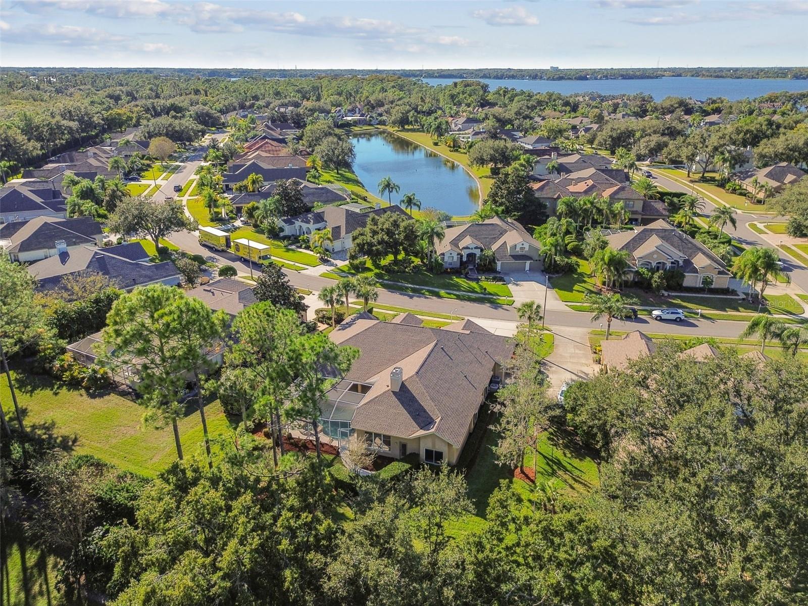 3988 MIMOSA PL, PALM HARBOR, FL, 34685