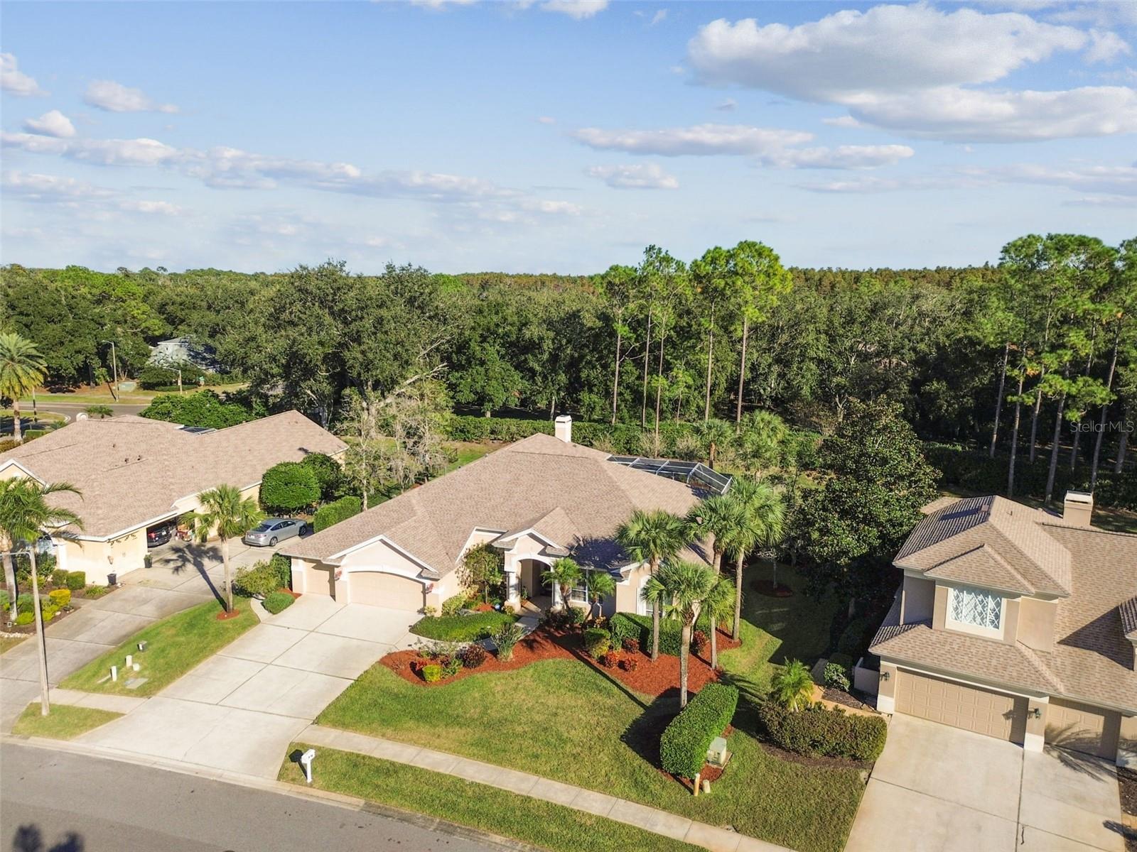 3988 MIMOSA PL, PALM HARBOR, FL, 34685