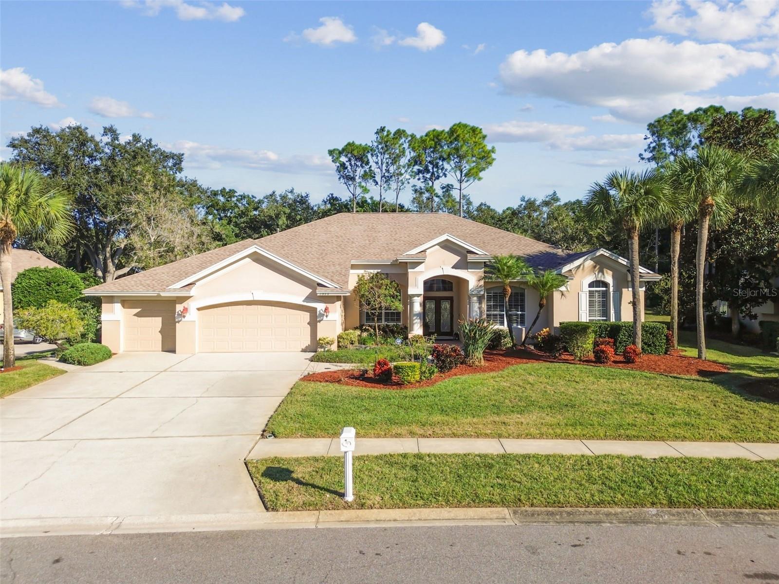 3988 MIMOSA PL, PALM HARBOR, FL, 34685