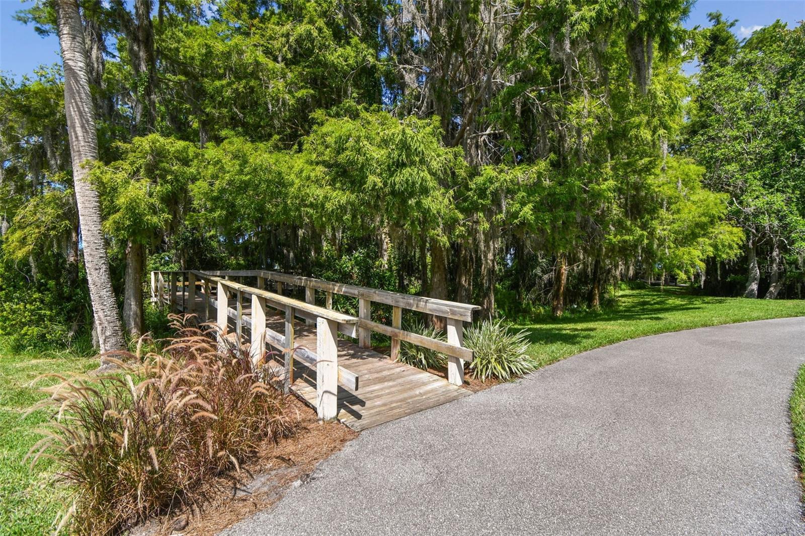 3988 MIMOSA PL, PALM HARBOR, FL, 34685