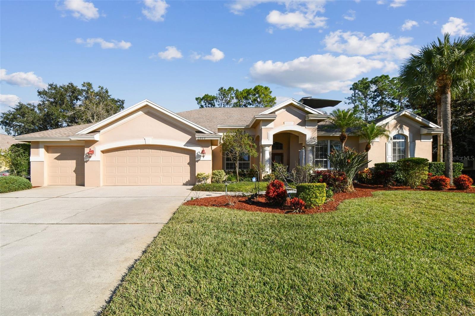 3988 MIMOSA PL, PALM HARBOR, FL, 34685