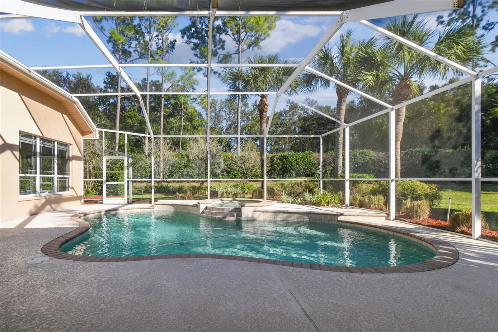 3988 MIMOSA PL, PALM HARBOR, FL, 34685