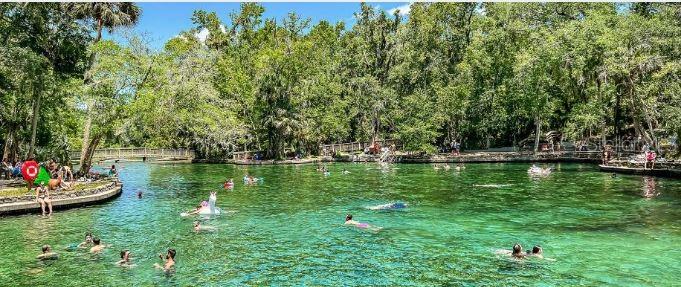 2709 ARBOR DUNE AVE, APOPKA, FL, 32712